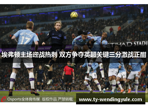 埃弗顿主场迎战热刺 双方争夺英超关键三分激战正酣