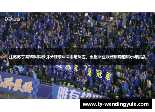 江苏苏宁易购队解散引发各球队深思与反应，重塑职业联赛格局的启示与挑战